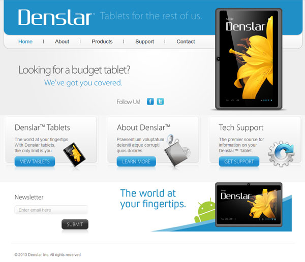 Denslar™ Website